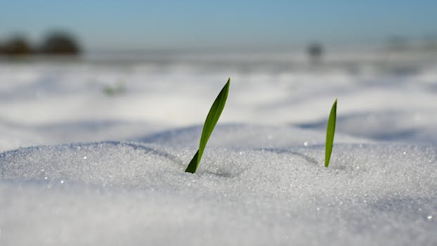 Groeien zenuwen weer aan? Dit moet je weten