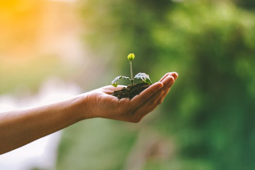 Waarom ecomodernisme ineens dé lifestylevisie van nu is