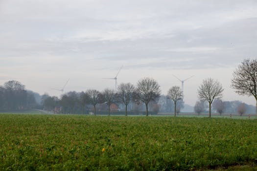 Nieuwe minister Klimaat en Groene Groei: dit betekent het echt