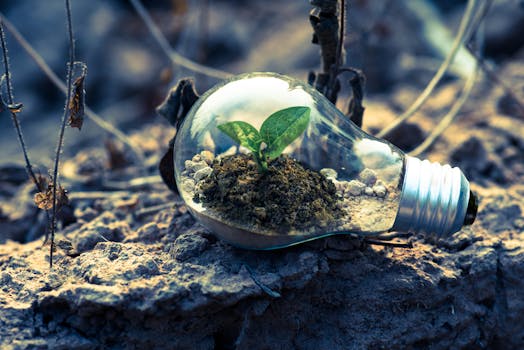 De universele wetten van groei innovatie duurzaamheid: waarom echte vooruitgang altijd hetzelfde patroon volgt