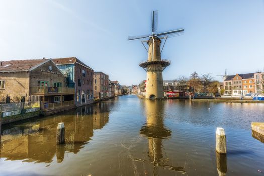 Festivals Schiedam 2026: deze praktische gids wil je bewaren