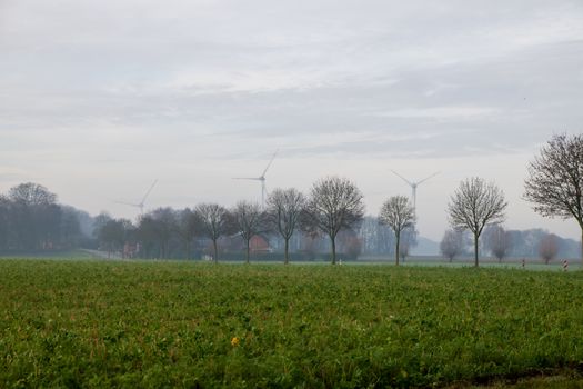 Klimaat en groene groei: waarom Nederland niet meer kan kiezen