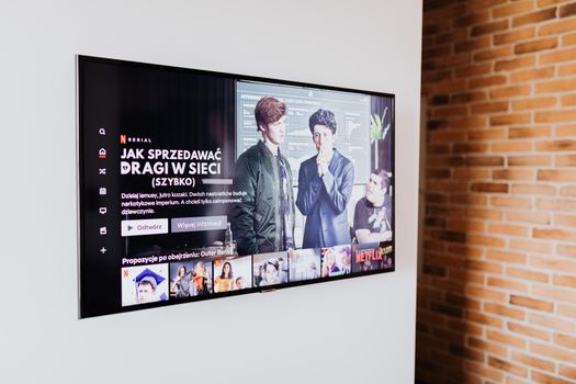 Overzicht van de beste nieuwe series op Netflix met afstandsbediening en streaminginterface
