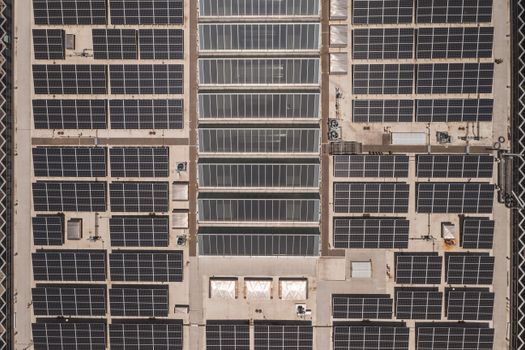Huishouden bekijkt opbrengst van zonnepanelen en energierekening na nieuws over salderen in 2026