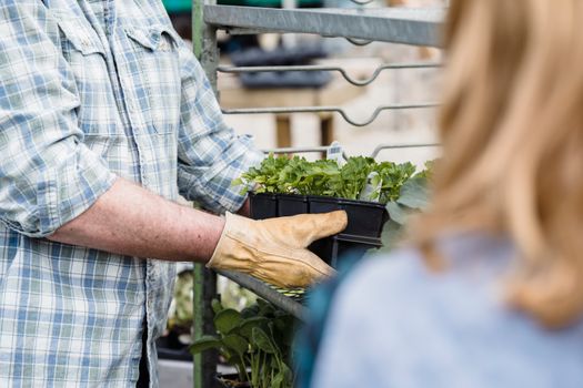 Weekmarkt Groei op een druk marktplein met groente-, kaas- en bloemenkramen in het centrum
