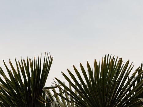 Open koffer met kleding, zonnebrand, sneakers, reisdocumenten en accessoires voor strandvakantie, stedentrip en actieve reis