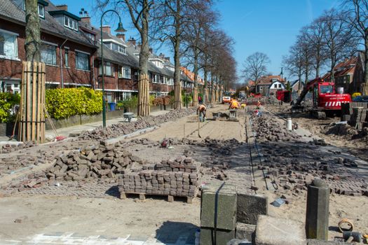 Strakke kleine tuin zonder gras met groot terras, groene borders en onderhoudsvriendelijke beplanting