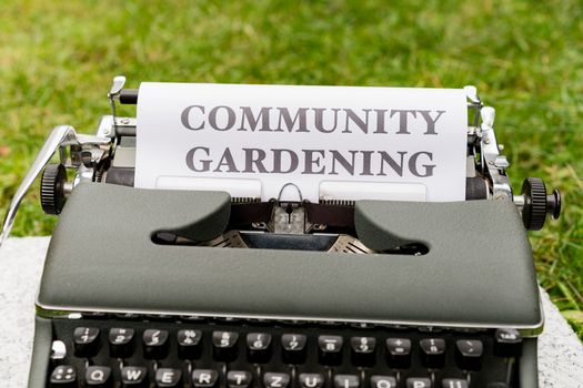 Vergroende achtertuin in Groningen met minder tegels, regenton en veel planten
