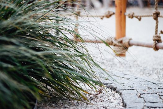 Onderhoudsarme tuin zonder gras met vaste planten, halfverharding en strak terras